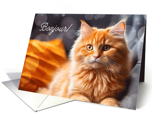 Bonjour French Hi or Hello Orange Tabby Cat Blank card (652818)