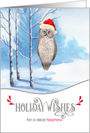 for Nephew Holiday Wishes Woodland Owl card
