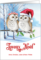 French Christmas Joyeux Noel Woodland Owls Custom card