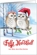 Spanish Red Christmas Feliz Navidad Winter Owls Custom card