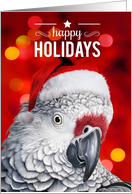 Christmas African Gray Parrot in a Santa Hat card