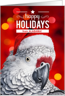 from Alabama African Gray Parrot Custom Holidays card