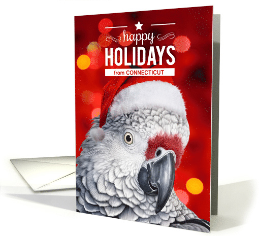 from Connecticut African Gray Parrot Custom Holidays card (658803)