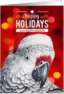 from South Dakota African Gray Parrot Custom Happy Holidays card