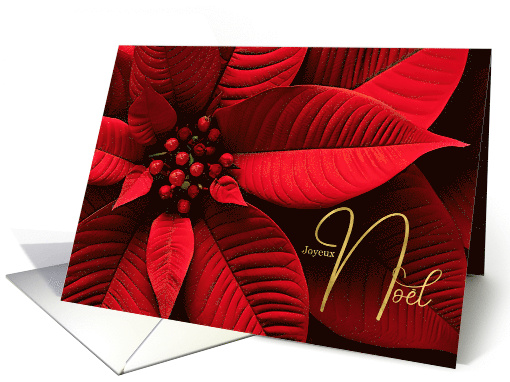 French Merry Christmas Joyeux Noel Poinsettia card (725158)