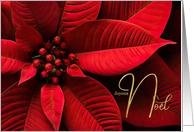 French Merry Christmas Joyeux Noel Burgundy Poinsettia card