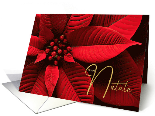 Italian Buon Natale Christmas Poinsettia card (725166)