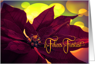Spanish ¡Feliz Fiestas! Christmas Wine Hued Poinsettia card