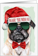 Bah Humbug Pug Dog Funny Christmas for Pet Lovers card