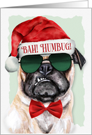 Bah Humbug Pug Dog...