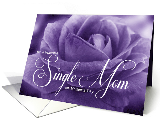 for a Single Mom on Mother's Day Beautiful Lavender Rose card (763215)