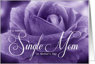 for a Single Mom on Mother’s Day Beautiful Lavender Rose card
