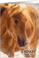 Thinking of You with a Western Theme with Sable Brown Horse card