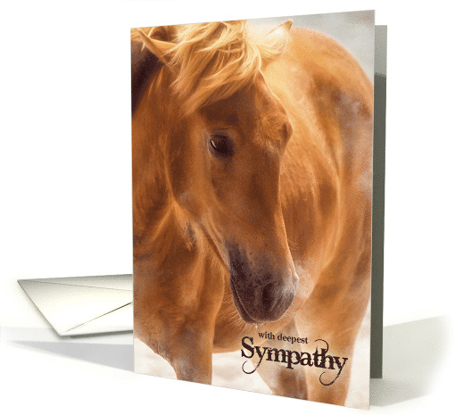with Sympathy Western Themed Horse Pet Sympathy card (763590)