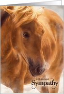 with Sympathy Western Themed Horse Pet Sympathy card