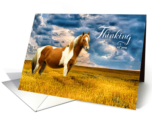 Thinking of You Western Horse in a Meadow Blank card (763768)