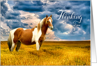 Thinking of You Western Horse in a Meadow Blank card