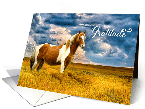 Thank You Western Horse in a Meadow Blank card (763789)