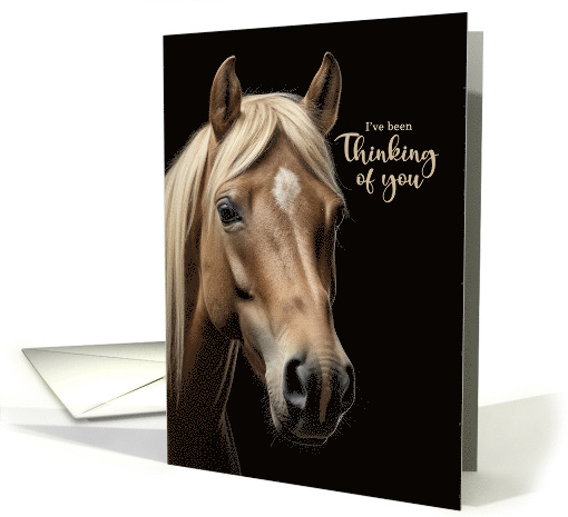 Thinking of You Horse Blank card (763817)