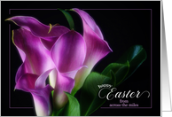 from Across the Miles Easter Purple Calla Lilies on Black card