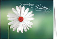 5th Wedding Anniversary with White Daisy on Green card