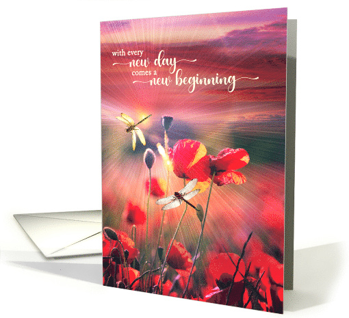 Recovery Encouragement New Beginning Poppies and Dragonflies card