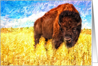 American Bison Buffalo Painting Blank Any Occasion card