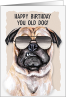 Birthday Humor Pug...