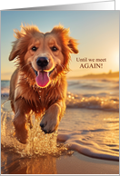 Until We Meet Again Dog on the Beach Cute Golden Retriever card