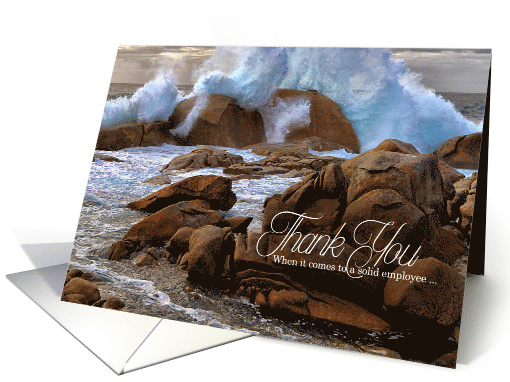 Business Employee Thank You Ocean Rocks card (788571)