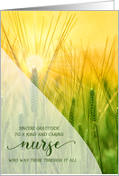 Thank You Nurse Summer Grasses Sunlit Nature card