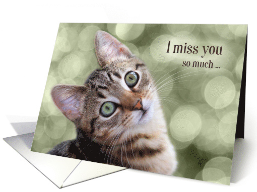 I Miss You So Much I Can't Purr Cute Tabby Kitty card (789036)