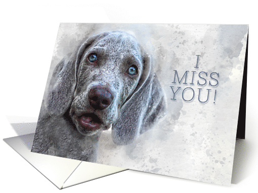 Missing You Watercolor Weimaraner Puppy card (789061)