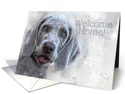 Welcome Home Watercolor Weimaraner Puppy card (789072)