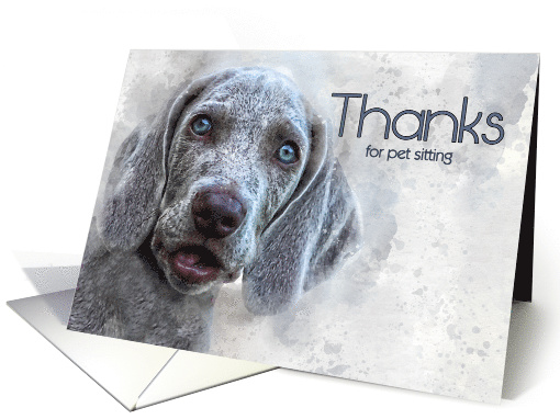 Thanks for Pet Sitting Watercolor Weimaraner Puppy card (789074)