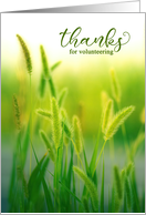 Volunteer Thank You Summer Grasses card