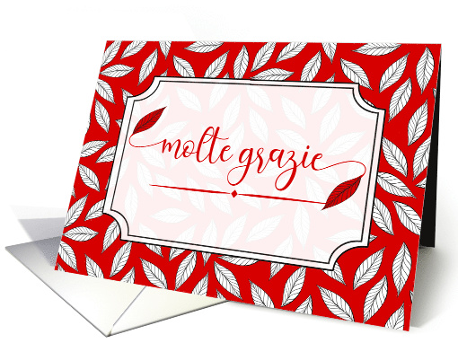 Molte Grazie Italian Many Thanks Red and White Blank card (792604)