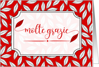 Molte Grazie Italian Many Thanks Red and White Botanical Blank card