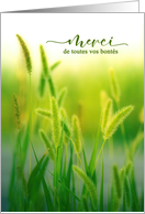 Merci Thank You French Language Summer Grasses card