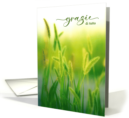 Gratzie Italian Language Thank You Summer Grasses card (792997)