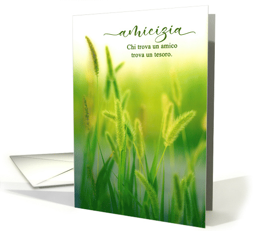 Amicizia Friendship Italian Language Summer Grasses card (792999)