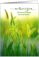 Amicizia Friendship Italian Language Summer Grasses card