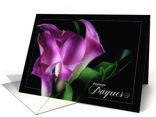 French Easter Pques Purple Calla Lilies on Black card (793848)