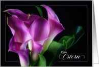 German Easter Frohe Ostern Purple Calla Lilies on Black card