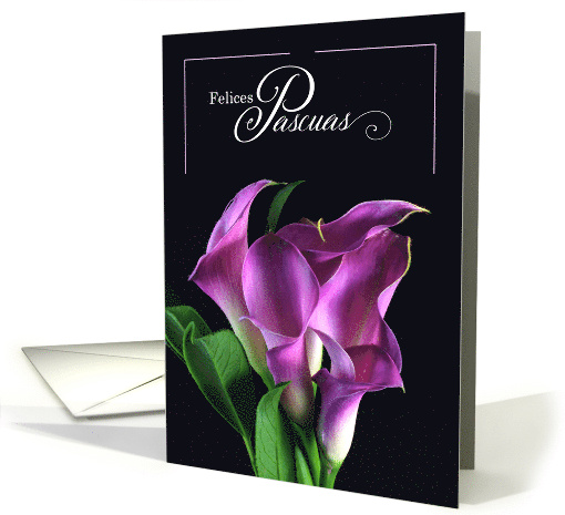 Spanish Easter Felices Pascuas Purple Calla Lilies Blank card (793861)