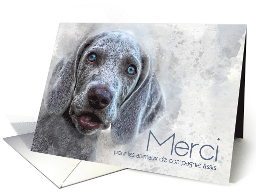 French Merci Thank You for Pet Sitting Watercolor Weimaraner card