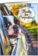 Thank You for Carpooling Dog in a Car Window card