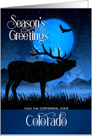 Colorado The Centennial State Woodland Moose Starry Night card