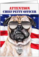 Promotion to Chief Petty Officer Military Congratulations Pug Dog card