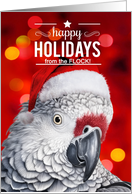 From the Flock Christmas African Gray Parrot card